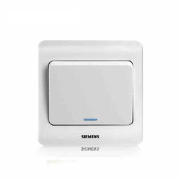 西門(mén)子遠(yuǎn)景雅白 一位雙控大蹺板開(kāi)關(guān) 帶熒光指示